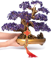 Feng Shui Amethyst Tree with Healing Properties