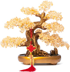 Feng Shui Crystal Money Tree for Wealth Attraction